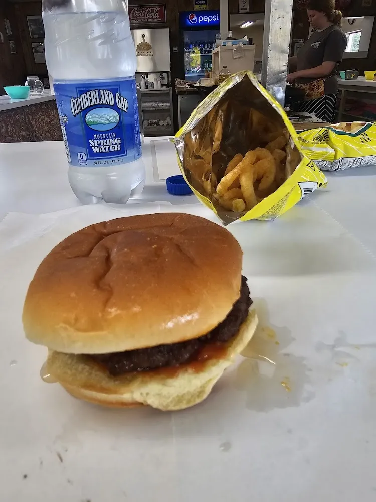 Burger Squeezed with funyuns1
